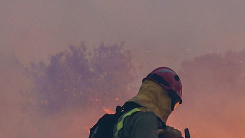 VIDEO: Ola de calor castiga a Europa con temperaturas extremas e incendios
