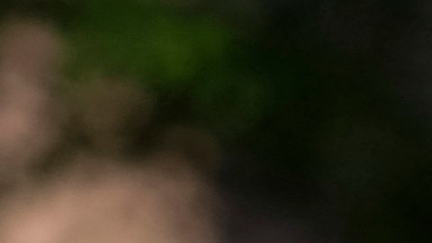Revelan que cadáver de hombre negro asesinado por policías llegó esposado a la oficina del médico forense