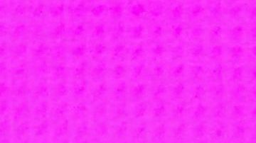 No se permitirá la venta de bebidas alcohólicas.