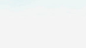 Aborto Roe vs. Wade Arizona Fetos