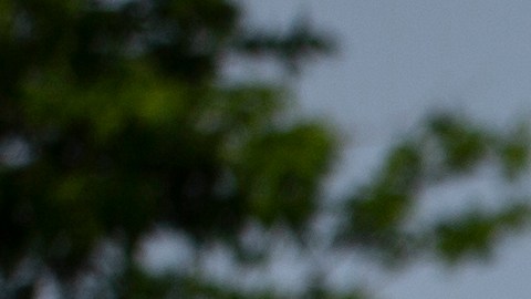 Exentrenador del tirador en Highland Park relata que en la familia de 'Bobby' Crimo III “no había mucho amor”