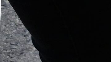 Aborto Roe vs. Wade Cámara Baja