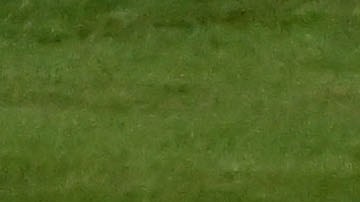 Carlos Sainz corre con su monoplaza momentos antes del accidente.