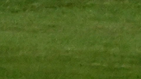 Carlos Sainz corre con su monoplaza momentos antes del accidente.