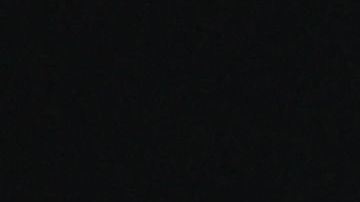 Novak Djokovic besa el trofeo.