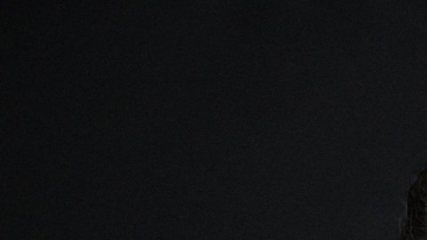 Gareth Bale, jugador del LAFC de la MLS.