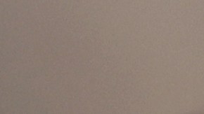 Nueva York declara que la viruela del mono es una "amenaza inminente para la salud pública"