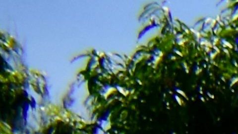 La policía y la Fiscalía llegaron a la sede de la Fesfut en busca de pruebas.