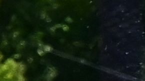 La gente se refresca en un bote de remos en el lago de Echo Park en Los Ángeles.