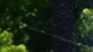 La gente se refresca en un bote de remos en el lago de Echo Park en Los Ángeles.