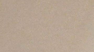 Oriente Medio Joe Biden Norte de África