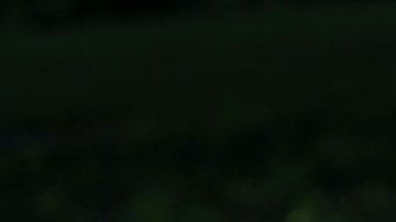 Joe Biden da negativo para la COVID-19 y sale de su aislamiento