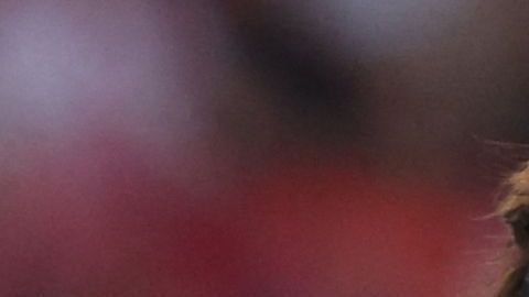 Darwin Núñez debutó como goleador con el Liverpool.