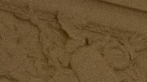 Una imagen del exvicepresidente Mike Pence (i) se mostró en una pantalla durante la audiencia.