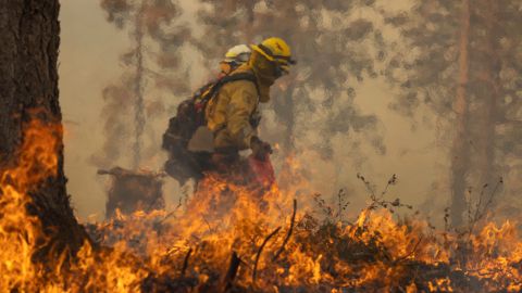 TOPSHOT - A firefighter lights a backfire while fighting the Oak Fire on near Mariposa, California, on July 24, 2022. - The fierce California wildfire expanded early Sunday burning several thousand acres and forcing evacuations, as tens of millions of Americans sweltered through scorching heat with already record-setting temperatures due to climb even further. More than 2,000 firefighters backed by 17 helicopters have been deployed against the Oak Fire, which broke out Friday near Yosemite National Park, the California Department of Forestry and Fire Protection (CAL FIRE) said in a report. (Photo by DAVID MCNEW / AFP) (Photo by DAVID MCNEW/AFP via Getty Images)