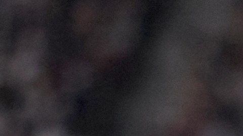 Neymar, delantero brasileño del PSG durante la pretemporada de la campaña 22-23.