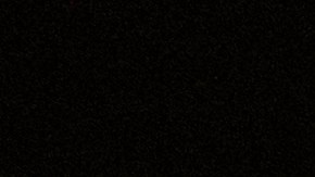 Donald Trump Departamento de Justicia Capitolio Elecciones 2020