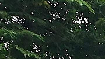 Vecinos de Manila evacuaron los edificios tras el fuerte terremoto en Filipinas.