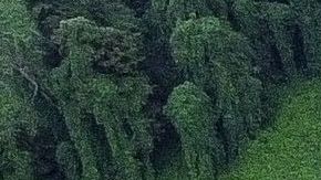 Casas sumergidas bajo las aguas de la inundación del North Fork del río Kentucky en Jackson.