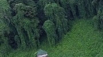Casas sumergidas bajo las aguas de la inundación del North Fork del río Kentucky en Jackson.