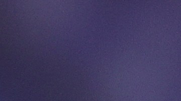 La pareja perdió más de $10,000 dólares.