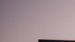 Los retratos oficiales de Barack y Michelle Obama fueron expuestos en The Art Institute of Chicago en 2021.