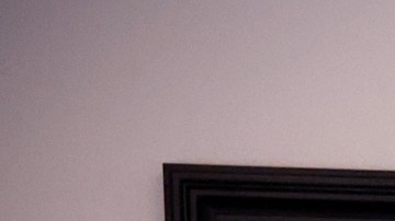 Los retratos oficiales de Barack y Michelle Obama fueron expuestos en The Art Institute of Chicago en 2021.