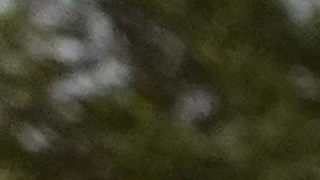 La foto ilustra un crimen con una línea de policía.