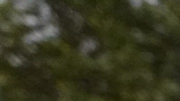 La foto ilustra un crimen con una línea de policía.