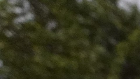 La foto ilustra un crimen con una línea de policía.
