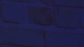 Eduin Caz | Alberto Tamargo/Getty Images for Univision.