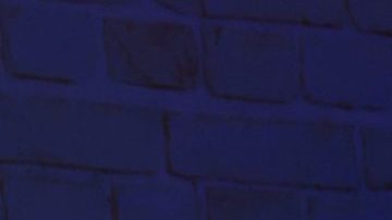 Eduin Caz | Alberto Tamargo/Getty Images for Univision.