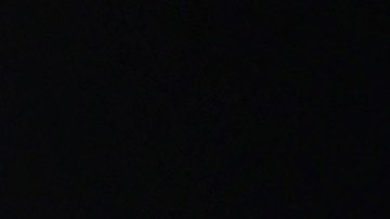 Felix ganó siete medallas de oro en Juegos Olímpicos.