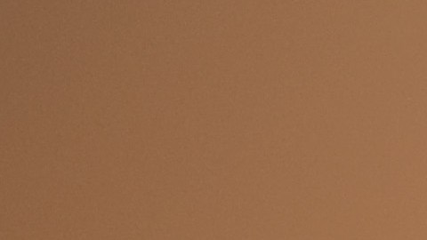 Nueva York Coney Island Tiroteo