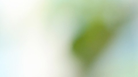 El gobernador Newsom firmó la ley que permite demandar a fabricantes de armas.