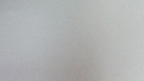 El director deportivo afirmó que seguirán con éxito.