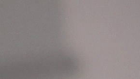 Bad Bunny en un performance musical.