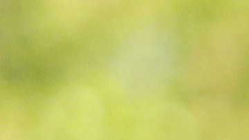 Bernie Sanders Joe Biden Mohamed bin Salman Arabia Saudí