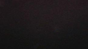 Haller había llegado en el mercado de verano.