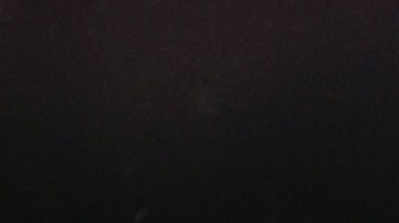 Haller había llegado en el mercado de verano.