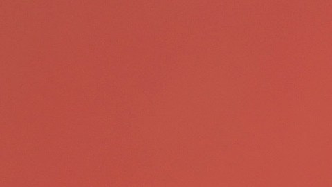 Joseph Quinn | Getty Images