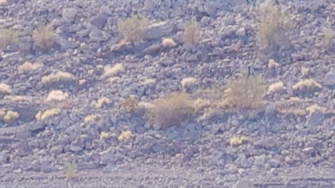 Barco de la Segunda Guerra Mundial emerge en el lago Mead ante violenta sequía que vive Nevada