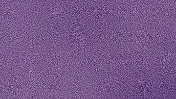 Rafael Nadal recibió un atípico desafío por parte de un peleador de la UFC.