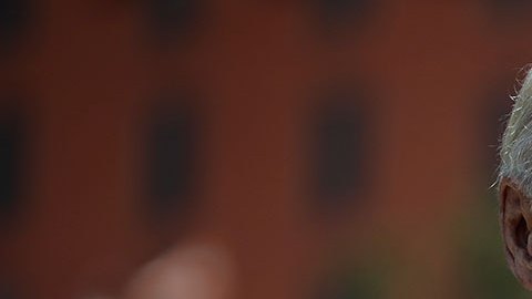 Padre de víctima de tiroteo de Parkland interrumpe a Joe Biden al firmar ley sobre armas