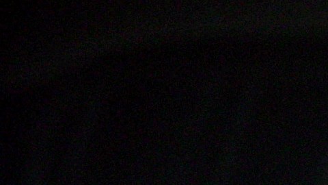 Kamala Harris entregó a López Obrador la localización de Caro Quintero, asegura periodista mexicano