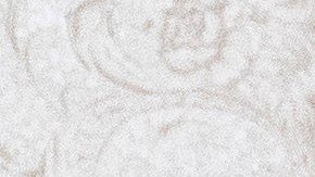 Biden y AMLO se reunieron en la Casa Blanca para discutir cuestiones bilaterales.