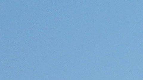 Raúl JIménez