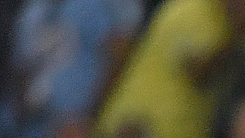 Ochoa y Grealish