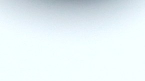 Steve Bannon Donald Trump Congreso Capitolio