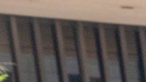 Steve Bannon Donald Trump Capitolio